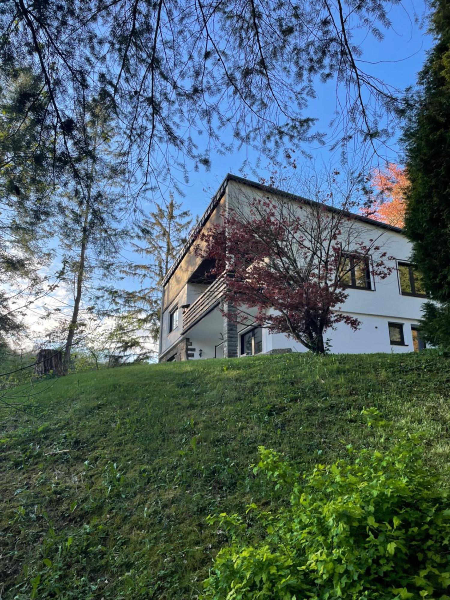 Talblick Chalet Blankenheim Blankenheim  Extérieur photo